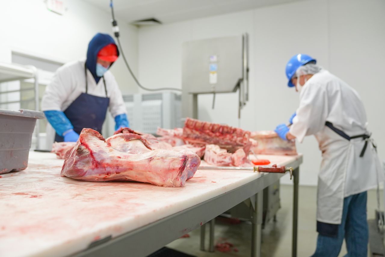 A Complete Technical Pathway for Austrian Industry
